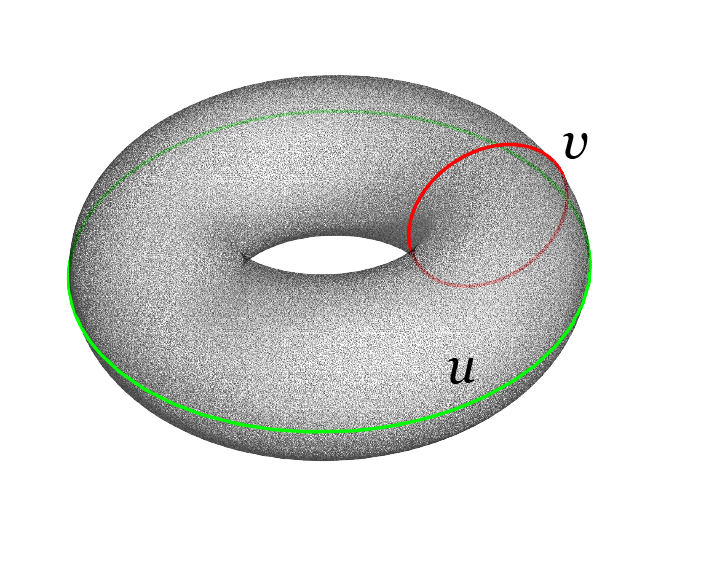 torus